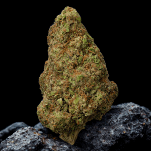 Blazin' Betty Flower Premium - Sativa Strain