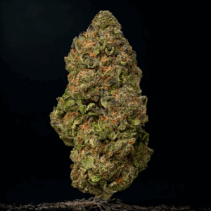 Blazin' Betty Flower Premium - Indica Strain